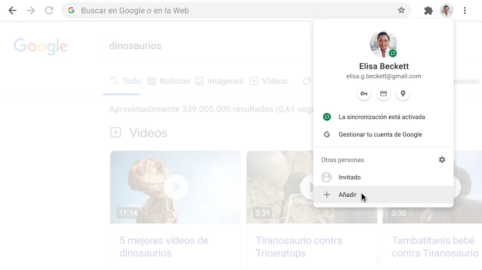 Ventana del navegador Chrome con el cuadro de diálogo Perfil abierto.